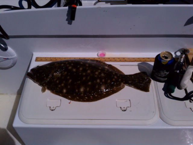 Fluke measured on the livewell